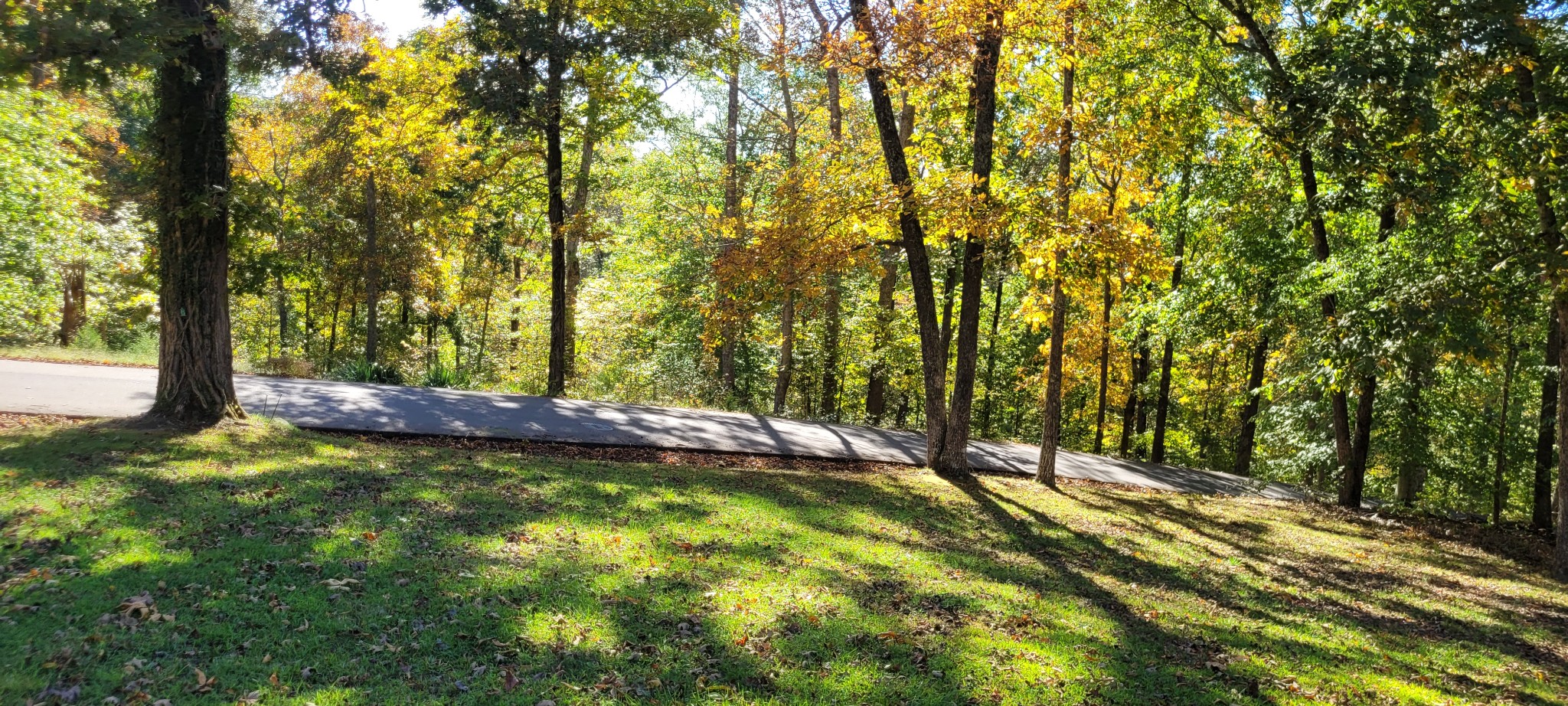 408 Sandy Road Dover, TN 37058 - Photo 23 of 24 a view of a yard with trees