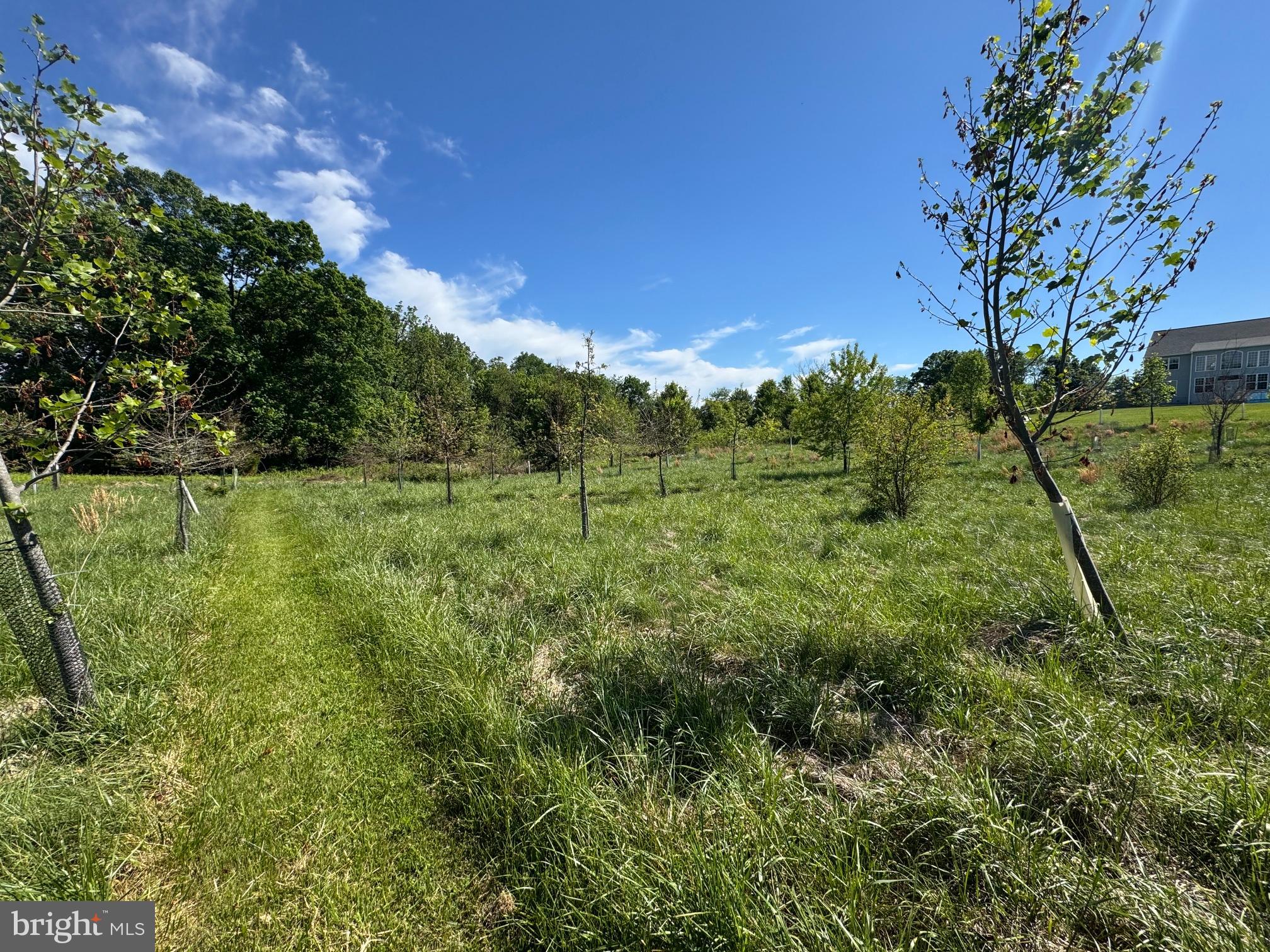 15491 Barnesville Road Boyds, MD 20841 - Photo 7 of 18 a view of a field with a tree in the background