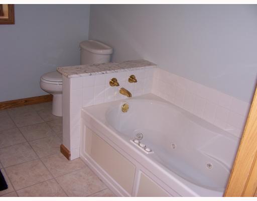 1728 Brodhead Road Coraopolis, PA 15108 - Photo 10 of 18 Master Bath/Spa.