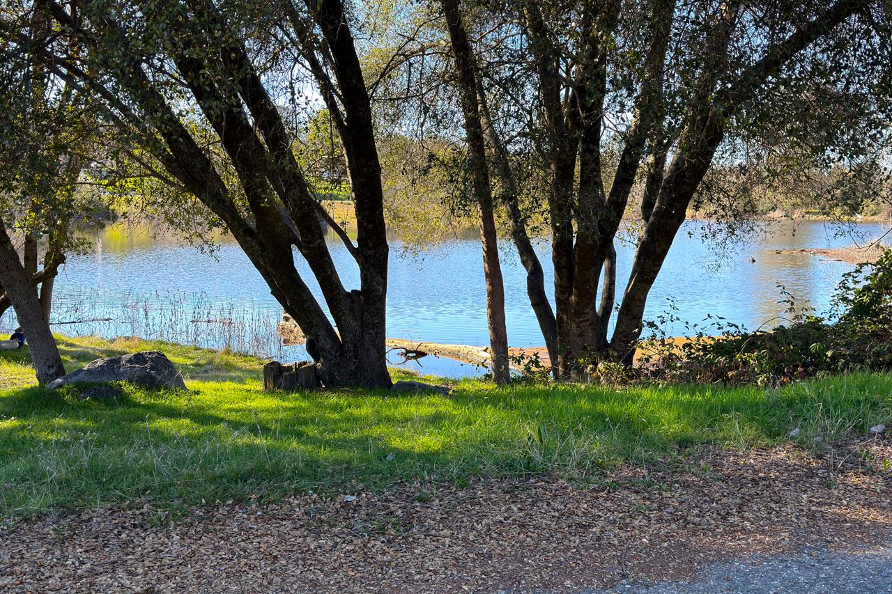 31729 Cherokee Road Coarsegold, CA 93614 - Photo 55 of 68 Gallery Image 55