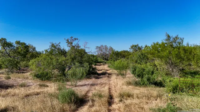 a view of a lake with beach