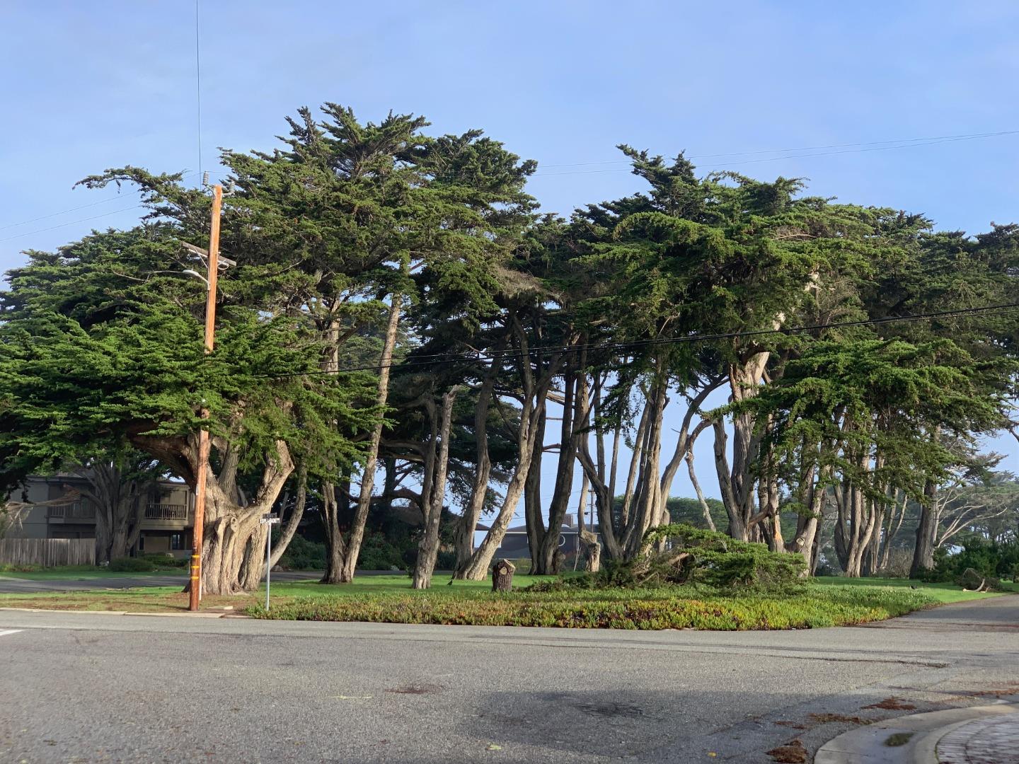 90 Quarterdeck Way Pacific Grove, CA 93950 - Photo 8 of 14