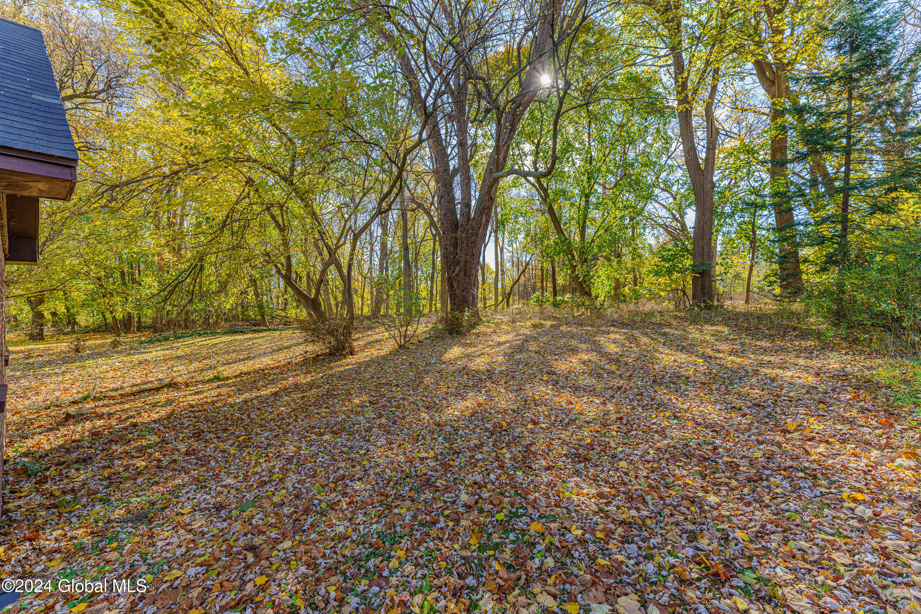 212 Menands Road Colonie, NY 12211 - Photo 32 of 33 Yard 5