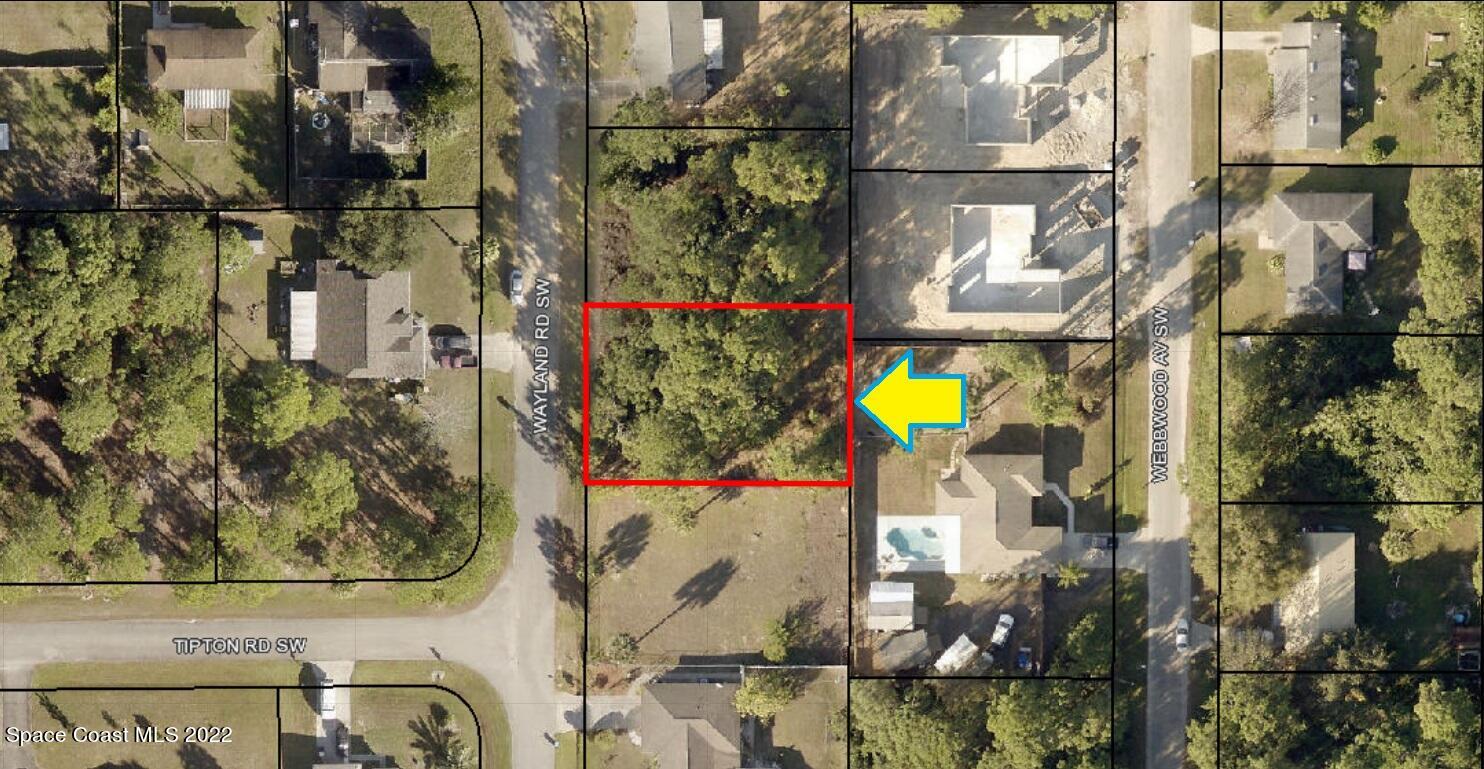 473 Wayland Road Southwest Palm Bay, FL 32908 - Photo 3 of 7
