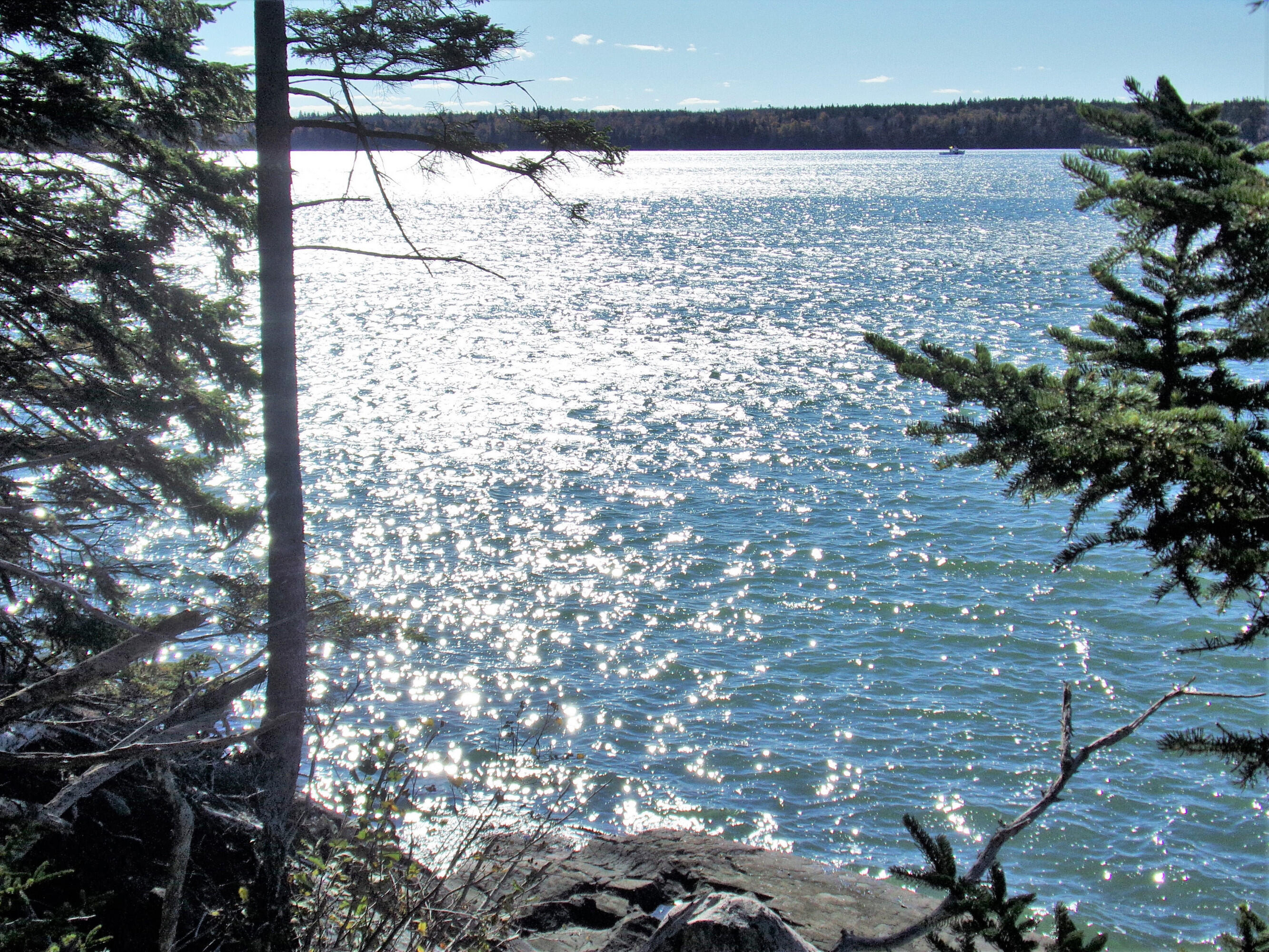 2 Johnson Point Road Orrs Island, ME 04066 - Photo 7 of 20 7jp.135_2226.ff