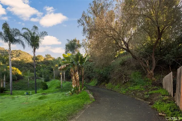 a view of a tree with a yard