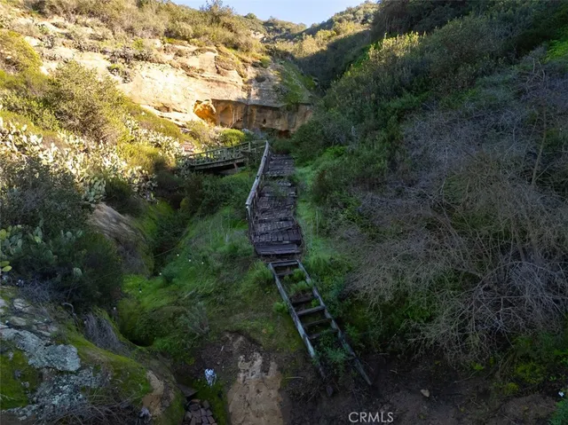 a view of flowers in a tree