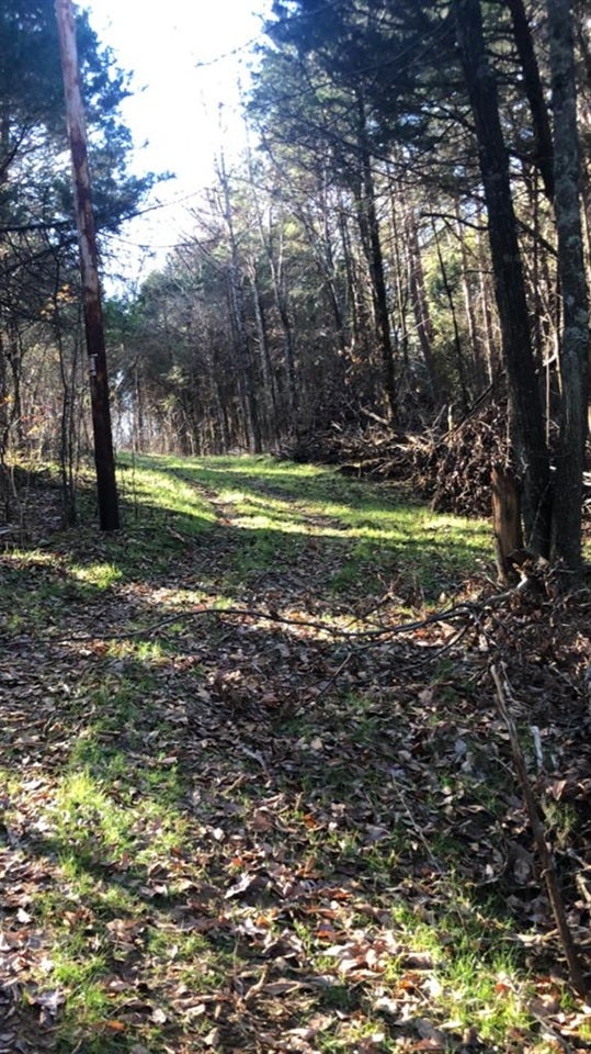2248 Eudora Road Cave City, KY 42127 - Photo 6 of 10 Gallery Image 6