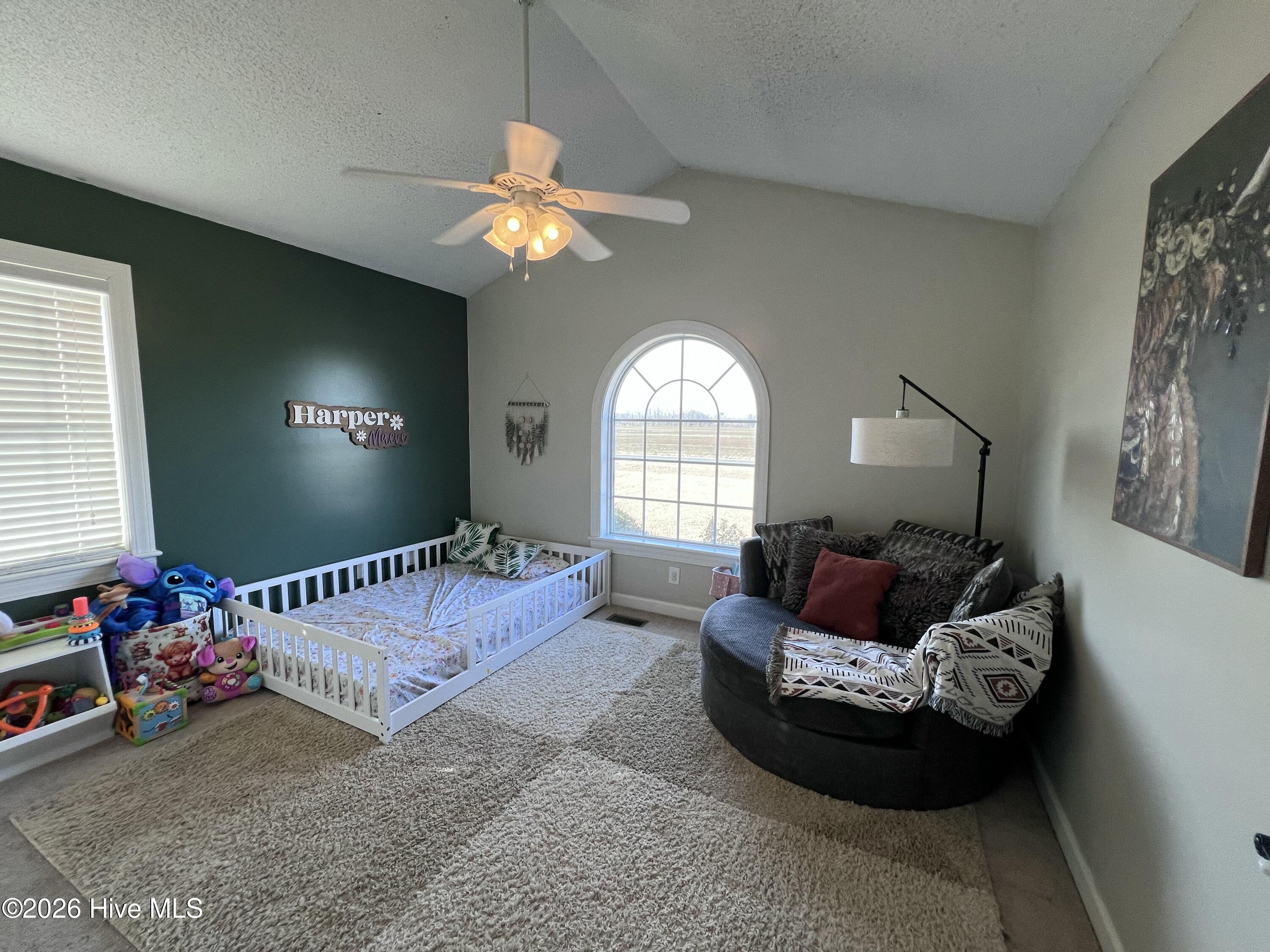 121 Ipock Loop Road Cove City, NC 28523 - Photo 21 of 45 Bedroom #1