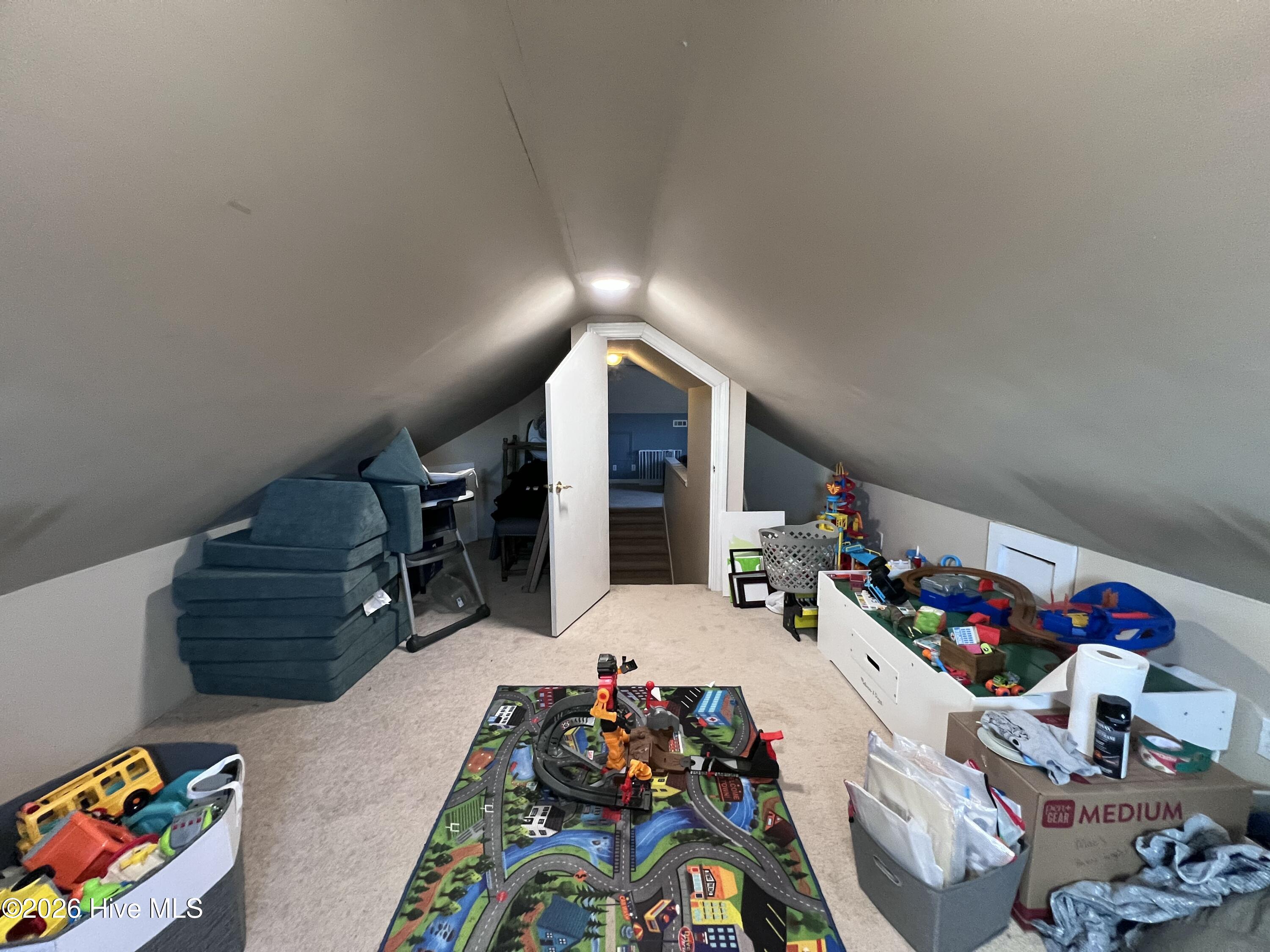 121 Ipock Loop Road Cove City, NC 28523 - Photo 33 of 45 Bonus Room