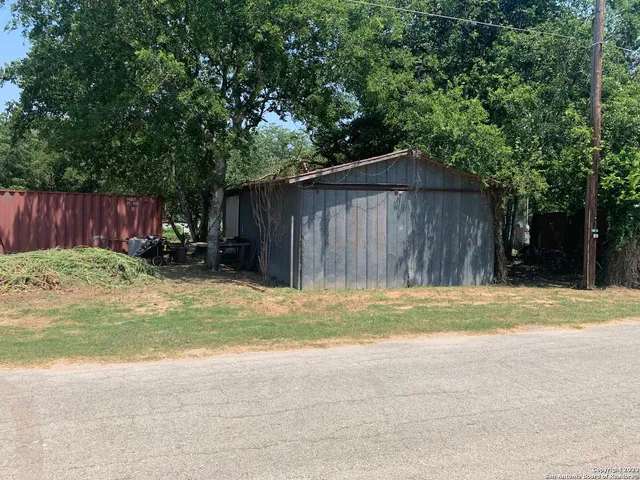 a view of backyard with potted plants and a large tree