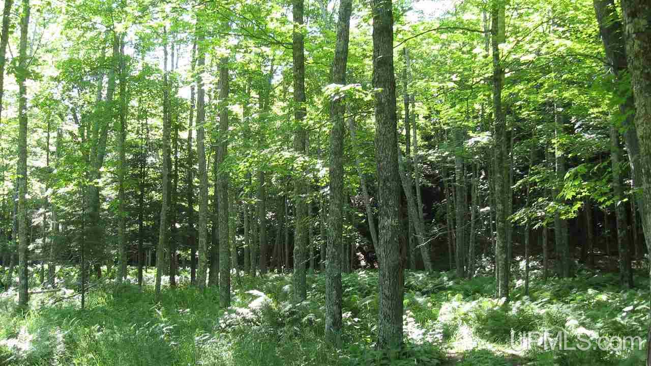 0 Big Bay Road Negaunee, MI 49866 - Photo 6 of 13