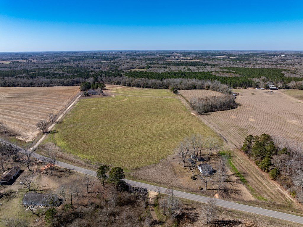 11034-11134 Cty Road Slocomb, AL 36375 - Photo 4 of 80