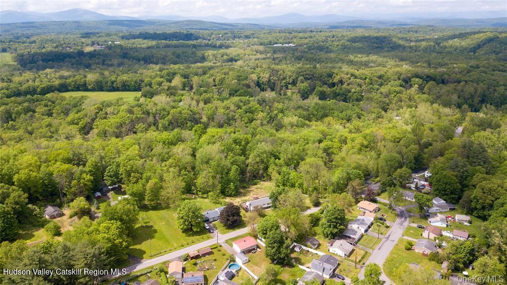 69 Mossybrook Road High Falls, NY 12440 - Photo 31 of 36 a view of a forest with a lush green forest