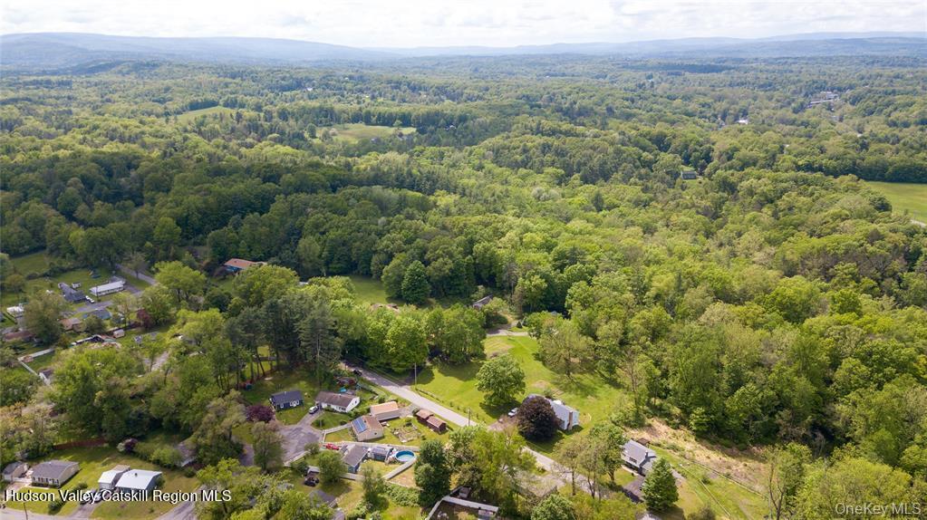 69 Mossybrook Road High Falls, NY 12440 - Photo 33 of 36 an aerial view of forest