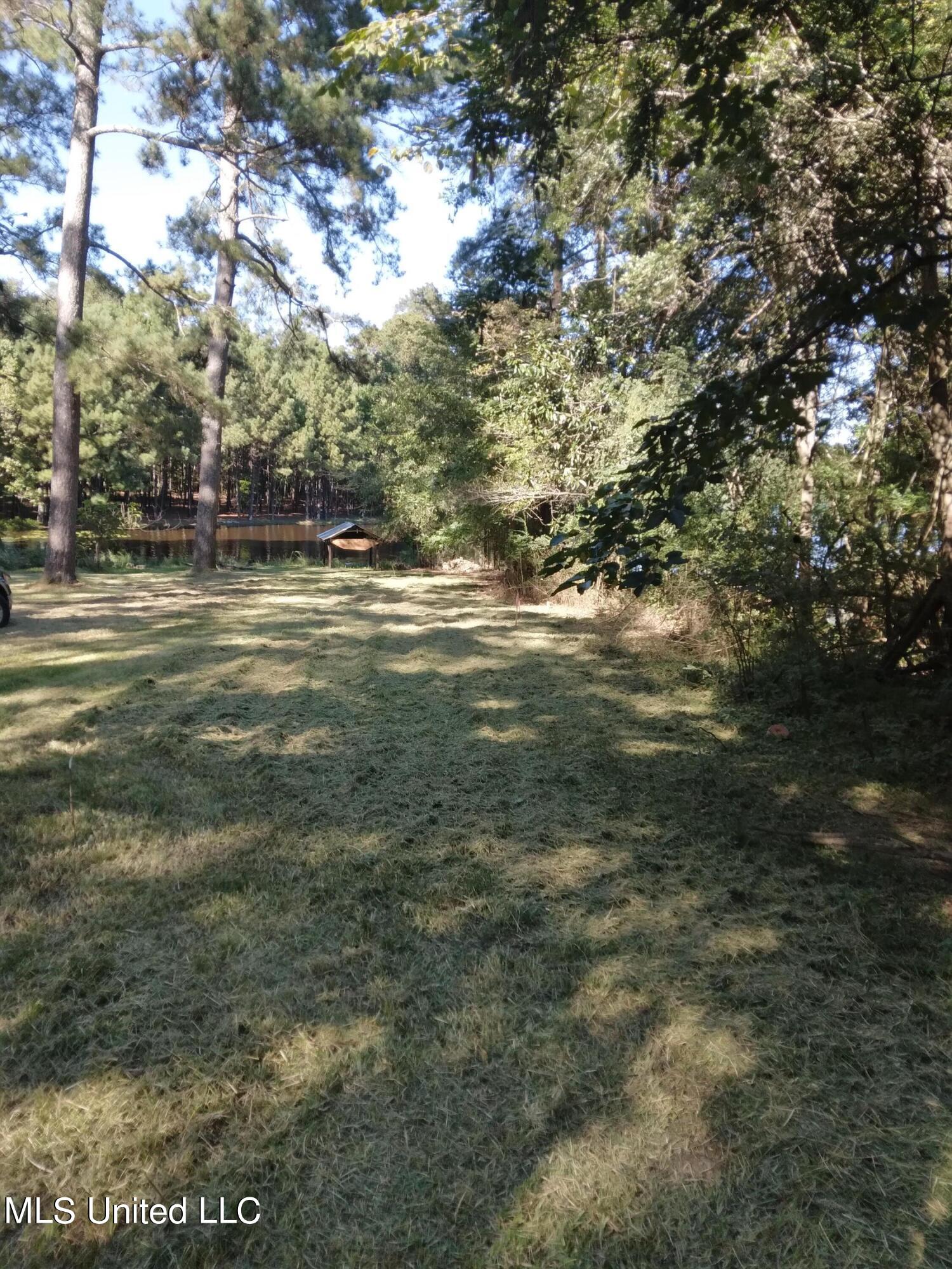 1144 Lake Dockery Road Byram, MS 39272 - Photo 4 of 11 20221001_153255