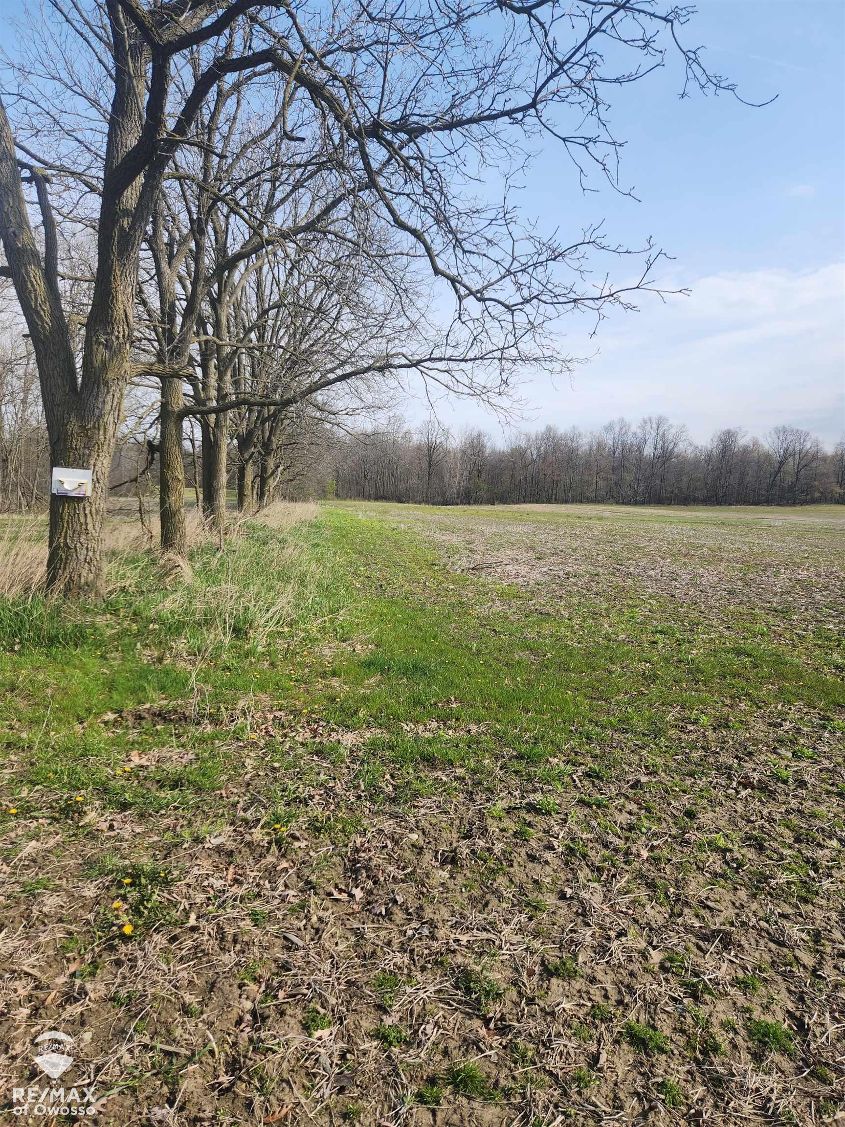 0 Rolston Road Gaines, MI 48436 - Photo 2 of 12