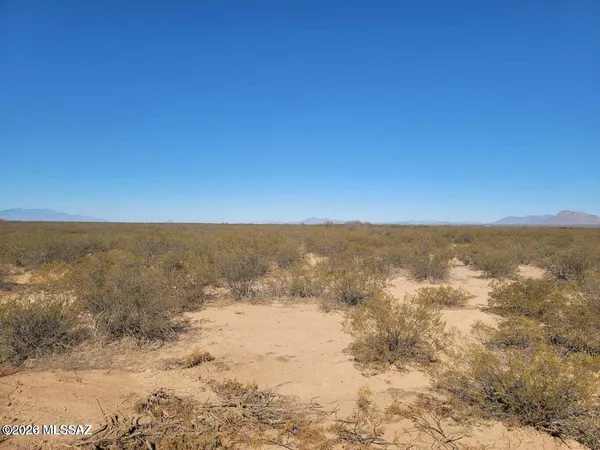 $55,000 | Tbd Tbd Sellers Ranch Road, San Simon, AZ 85632