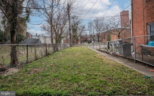 a view of backyard with tree