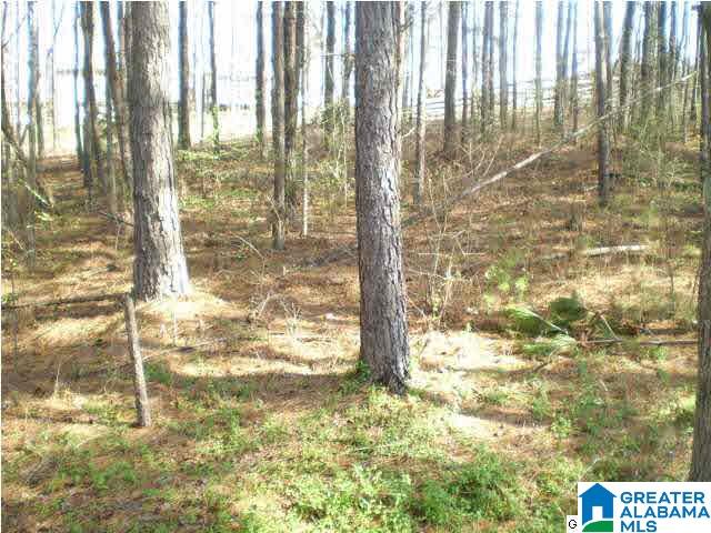 149 Prophecy Lane Springville, AL 35146 - Photo 8 of 32