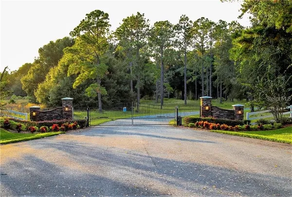 a view of a park with large trees