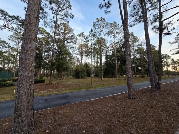 a view of street with trees