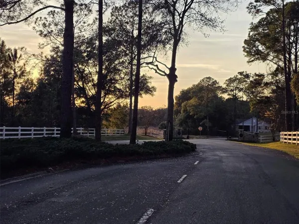 a view of road with tree