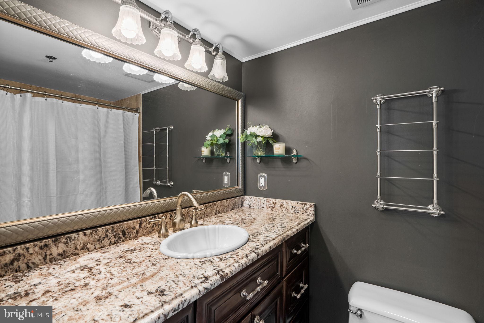 601 Pennsylvania Avenue Northwest, Unit 1502N Washington, DC 20004 - Photo 13 of 22 Separate owners bath