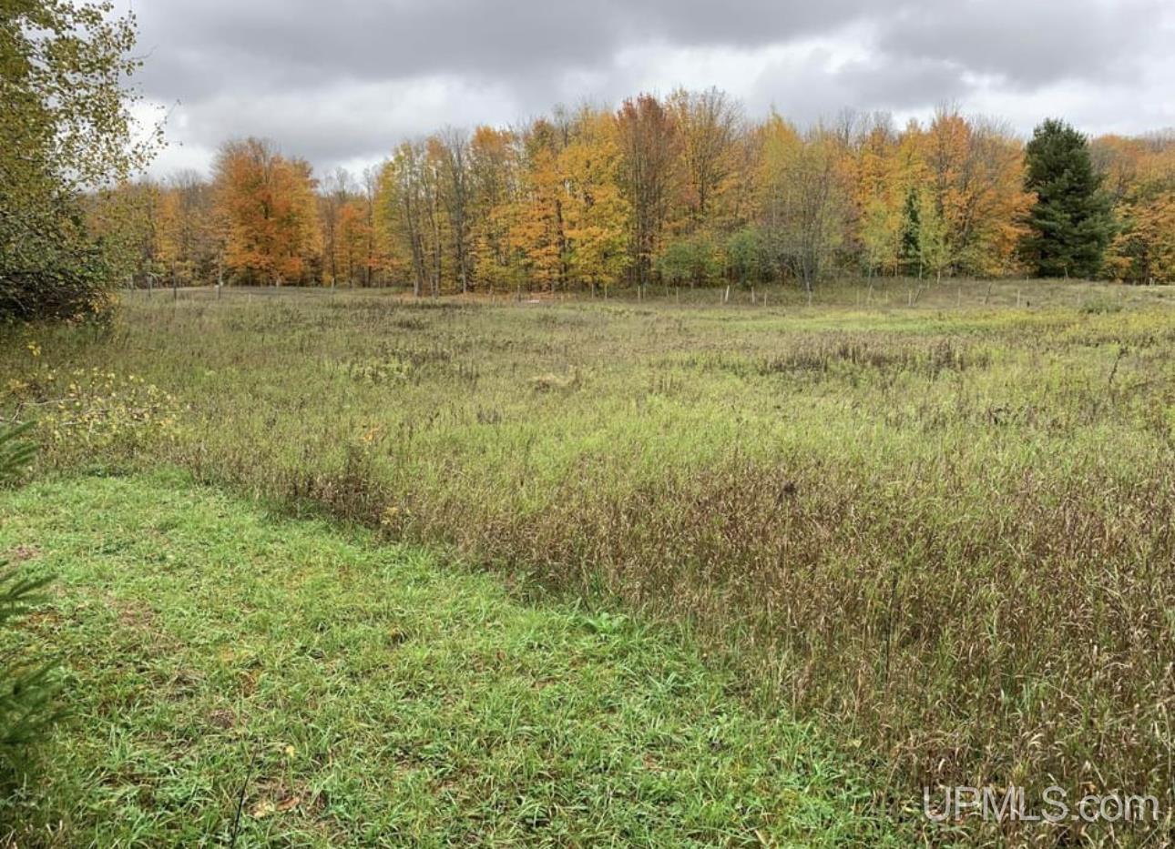 3464 East Co Road Trenary, MI 49891 - Photo 7 of 10