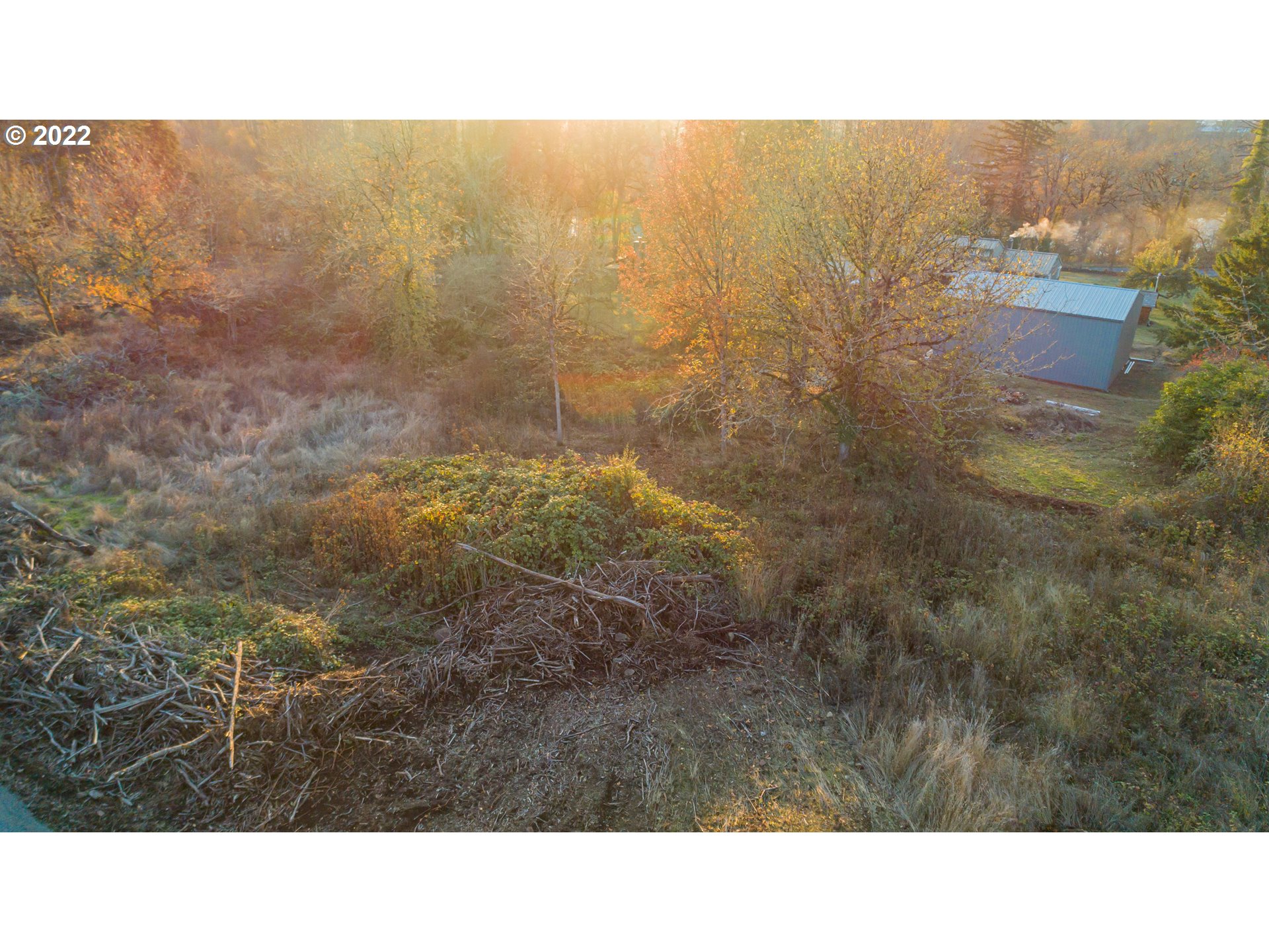 33071 Berlin Road, Unit 1 Lebanon, OR 97355 - Photo 11 of 13 Gallery Image 11