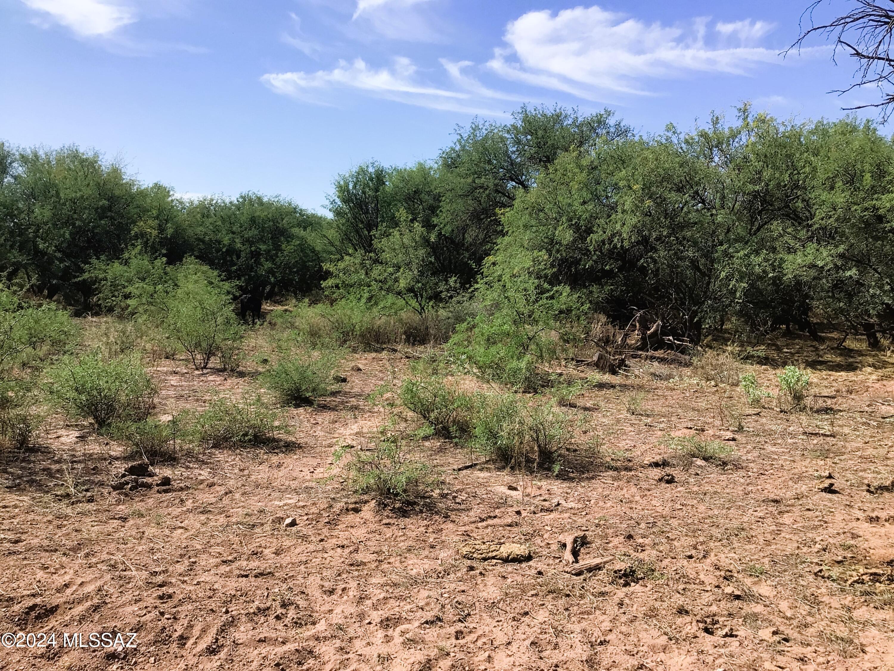 36.01-ac West Pronghorn Rdg Road, Unit 205 Willcox, AZ 85643 - Photo 20 of 37