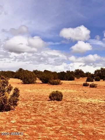 $19,999 | 9344 Texas Lane, Show Low, AZ 85901