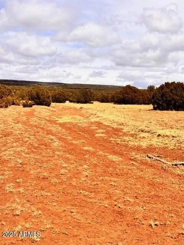 $19,999 | 9344 Texas Lane, Show Low, AZ 85901