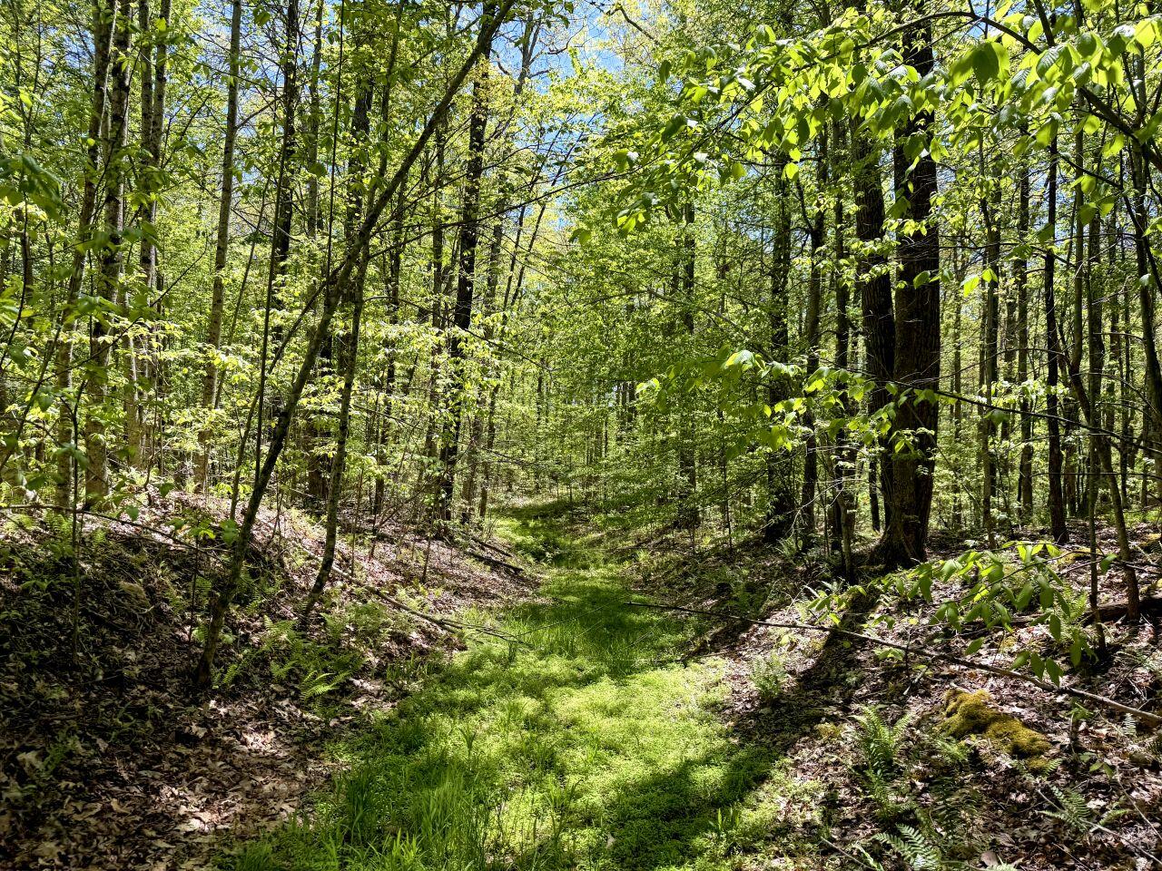 0 Iona Road White Oak, WV 25989 - Photo 105 of 150 Tract-15-IMG_4522