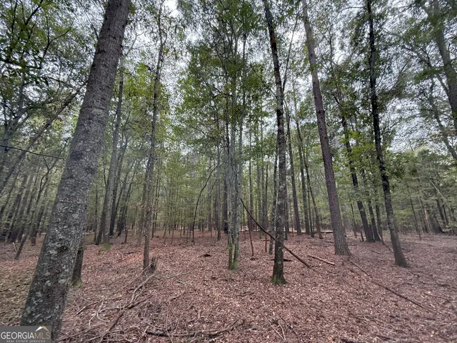 $230,000 | 4 Jefferson River Road, Athens, GA 30607