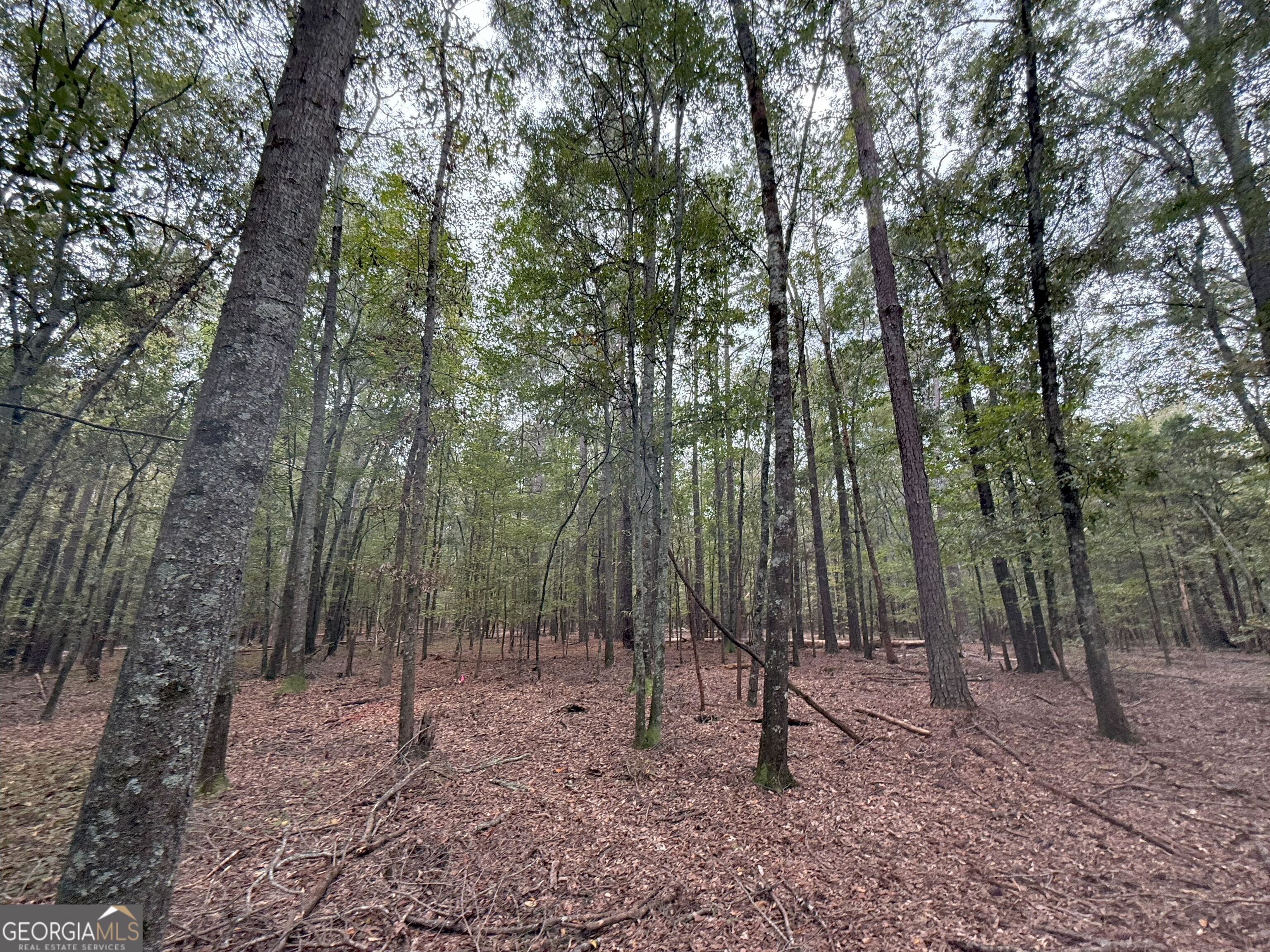 a view of outdoor space