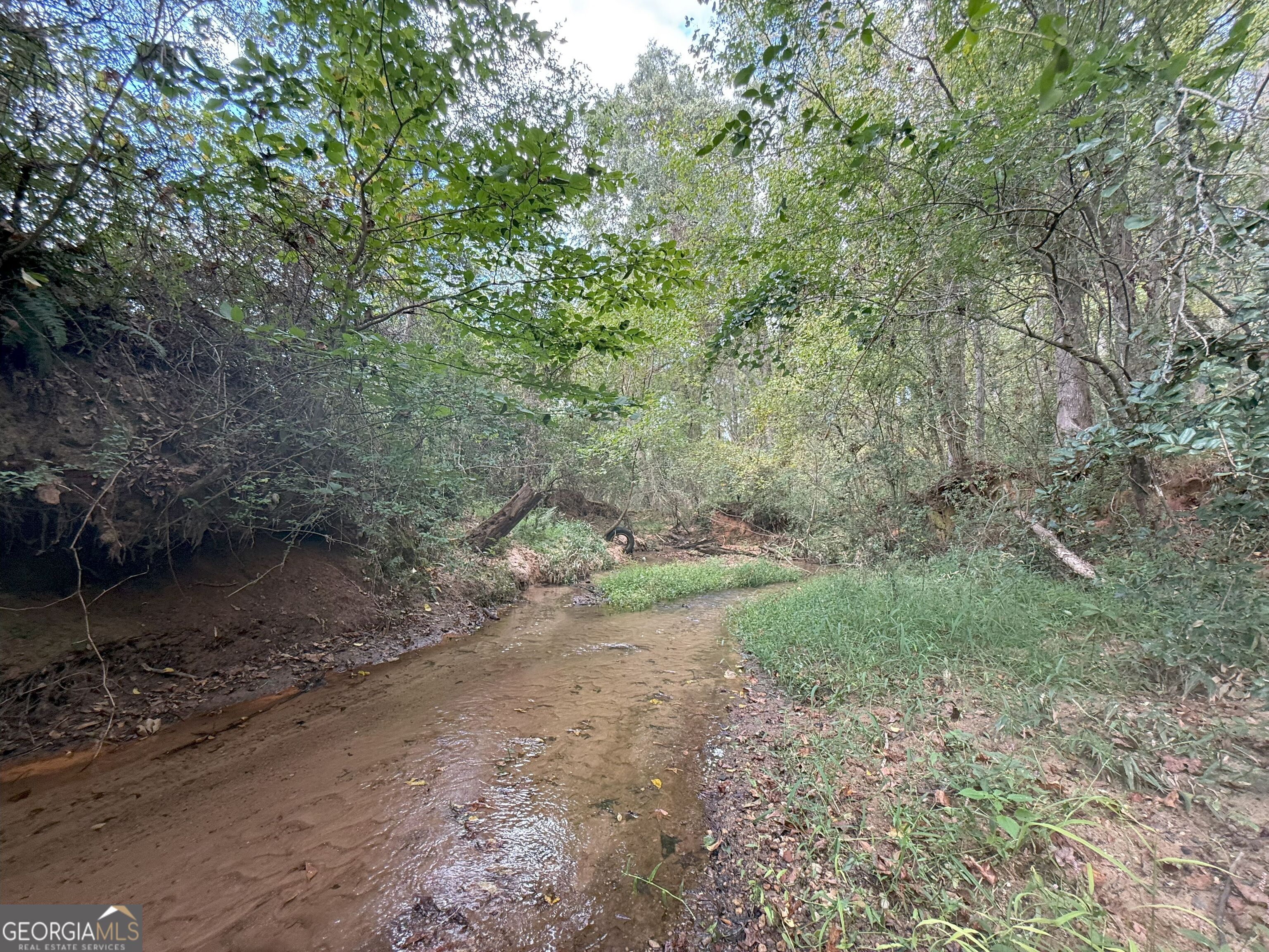 4 Jefferson River Road Athens, GA 30607 - Photo 13 of 30 a view of a dirt road with trees in the background