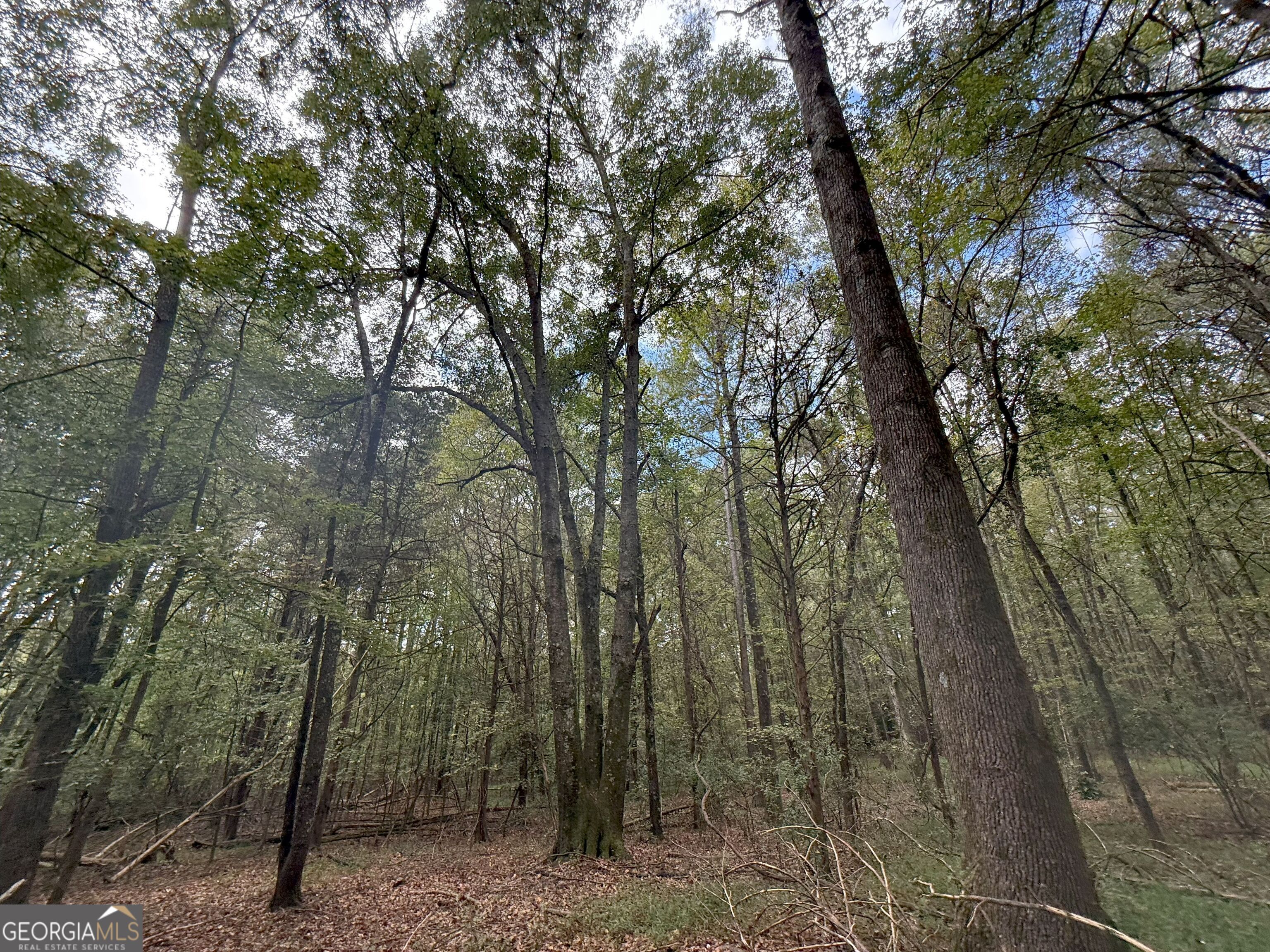 4 Jefferson River Road Athens, GA 30607 - Photo 17 of 30