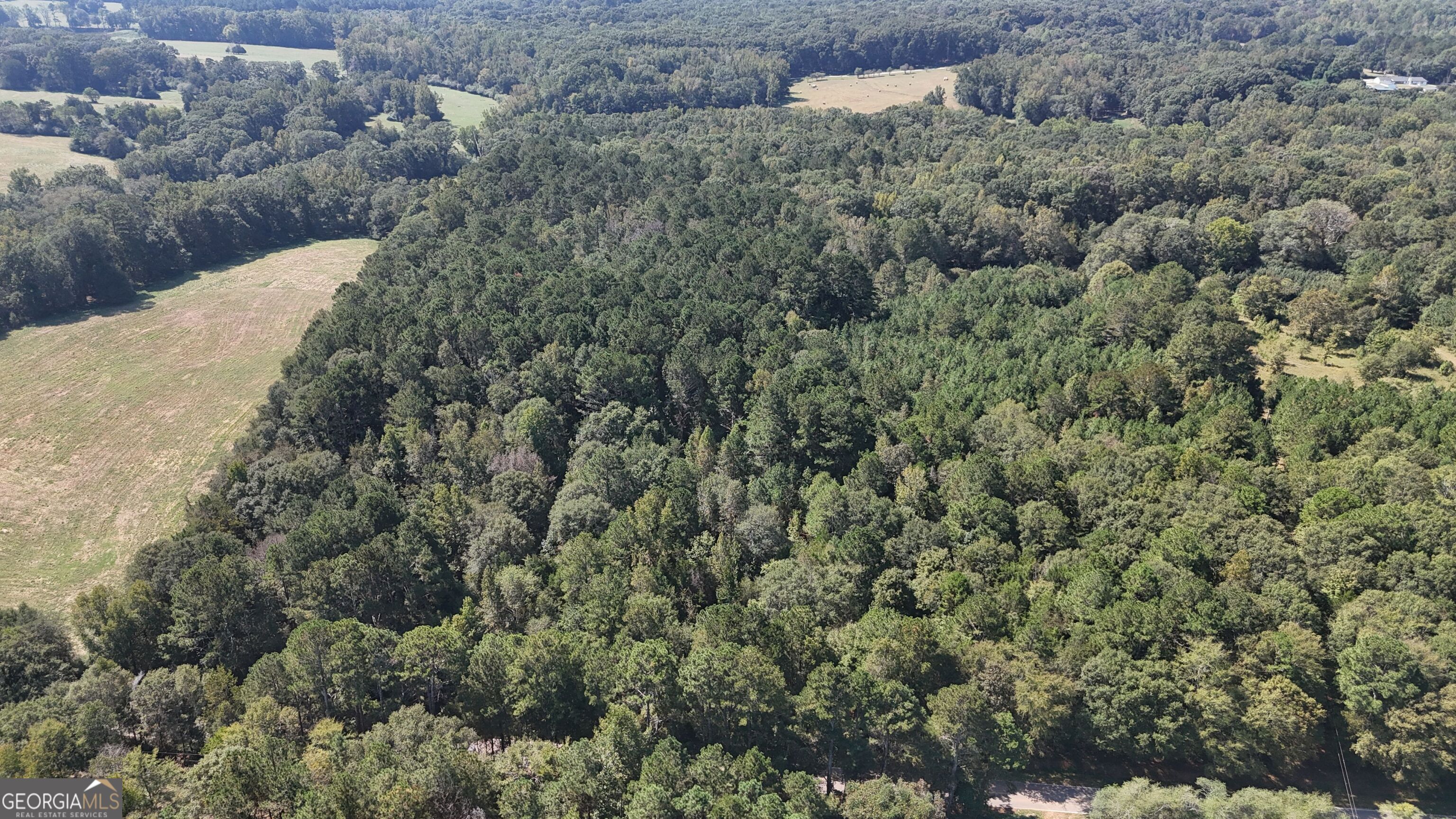 4 Jefferson River Road Athens, GA 30607 - Photo 29 of 30 a view of a forest with a street
