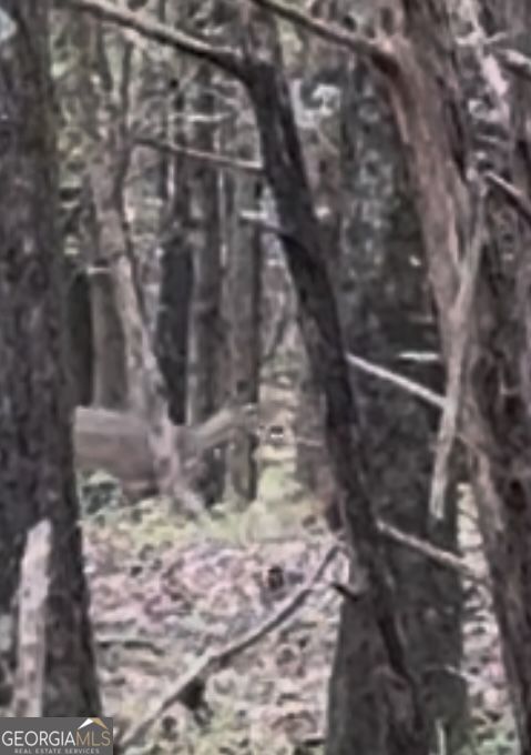 4 Jefferson River Road Athens, GA 30607 - Photo 6 of 30