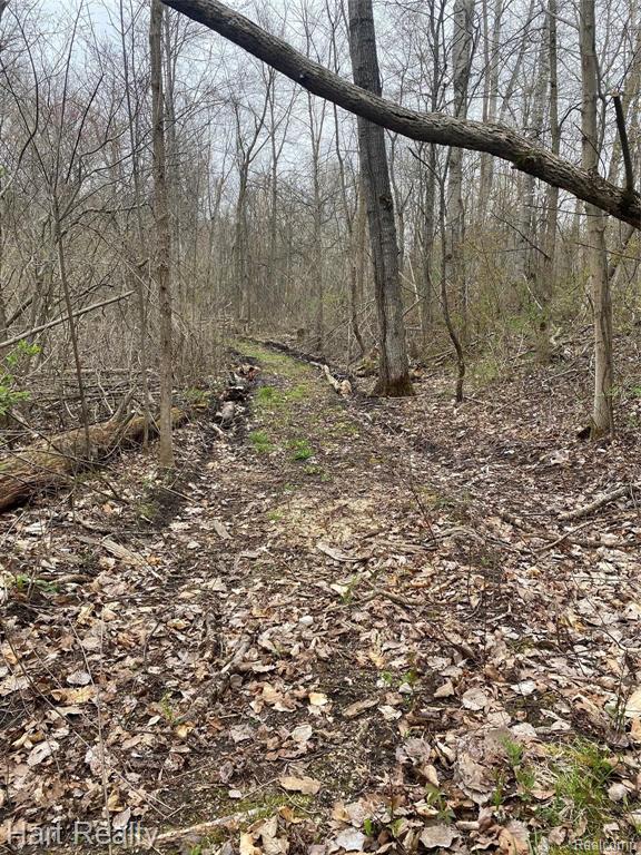 5355 Chambers Road Mayville, MI 48744 - Photo 22 of 27
