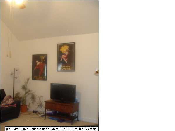 3319 Myrtle Grove Drive Baton Rouge, LA 70810 - Photo 3 of 12