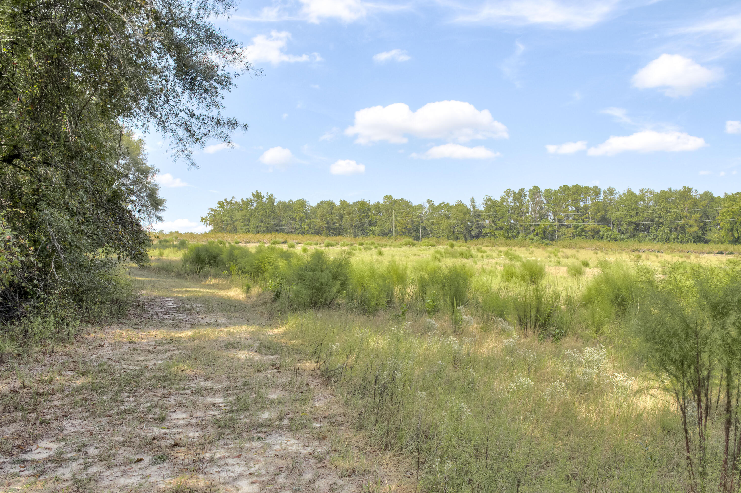 153 Rachel Road Ridge Spring, SC 29129 - Photo 20 of 57