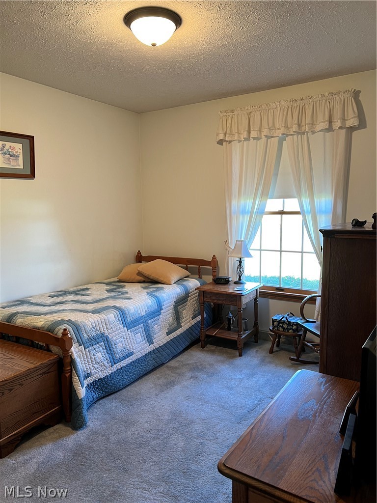 8160 Greenwich Road Lodi, OH 44254 - Photo 22 of 29 3rd Bedroom.
