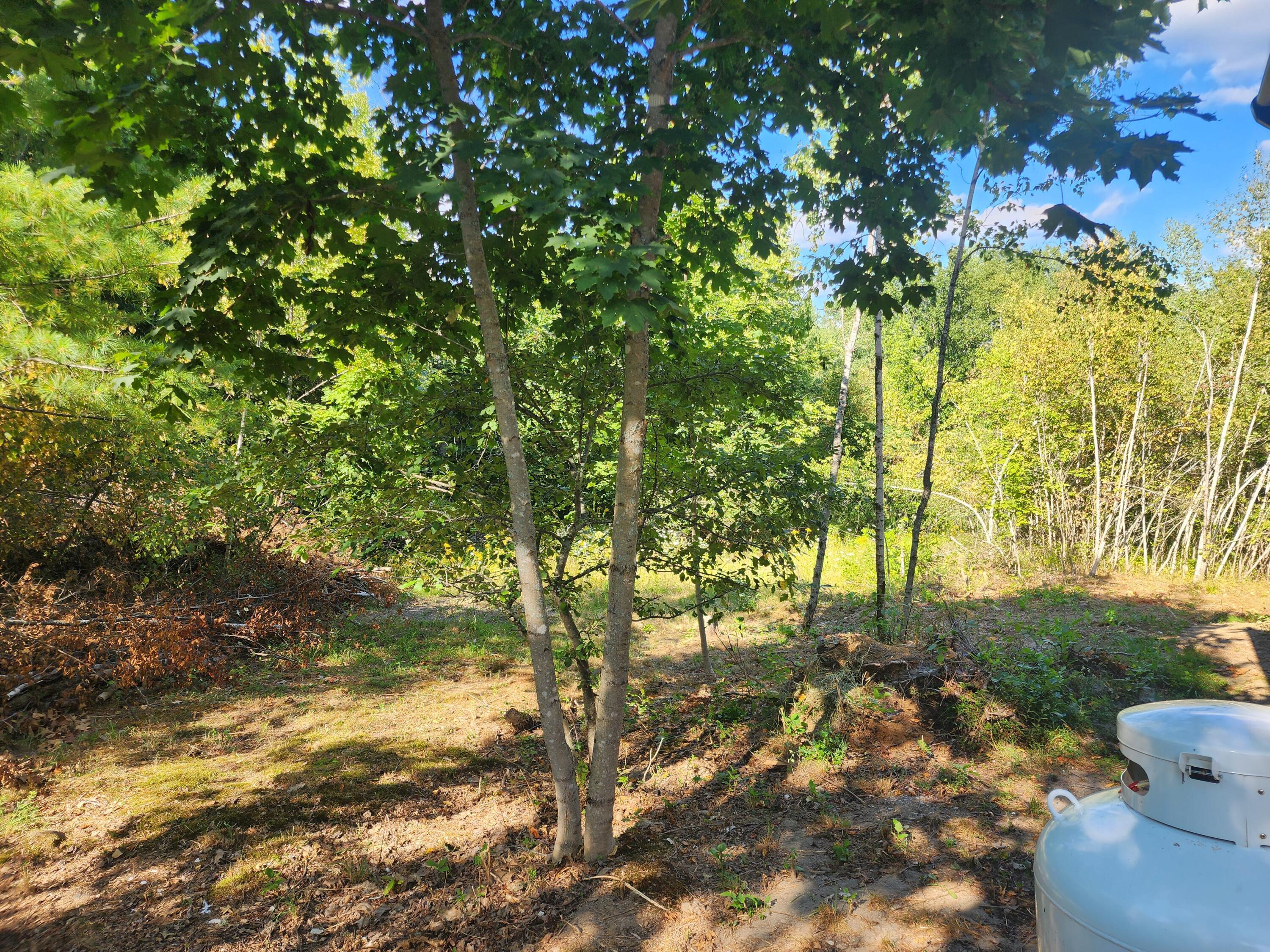 315 Golf Course Road Newport, ME 04953 - Photo 16 of 26