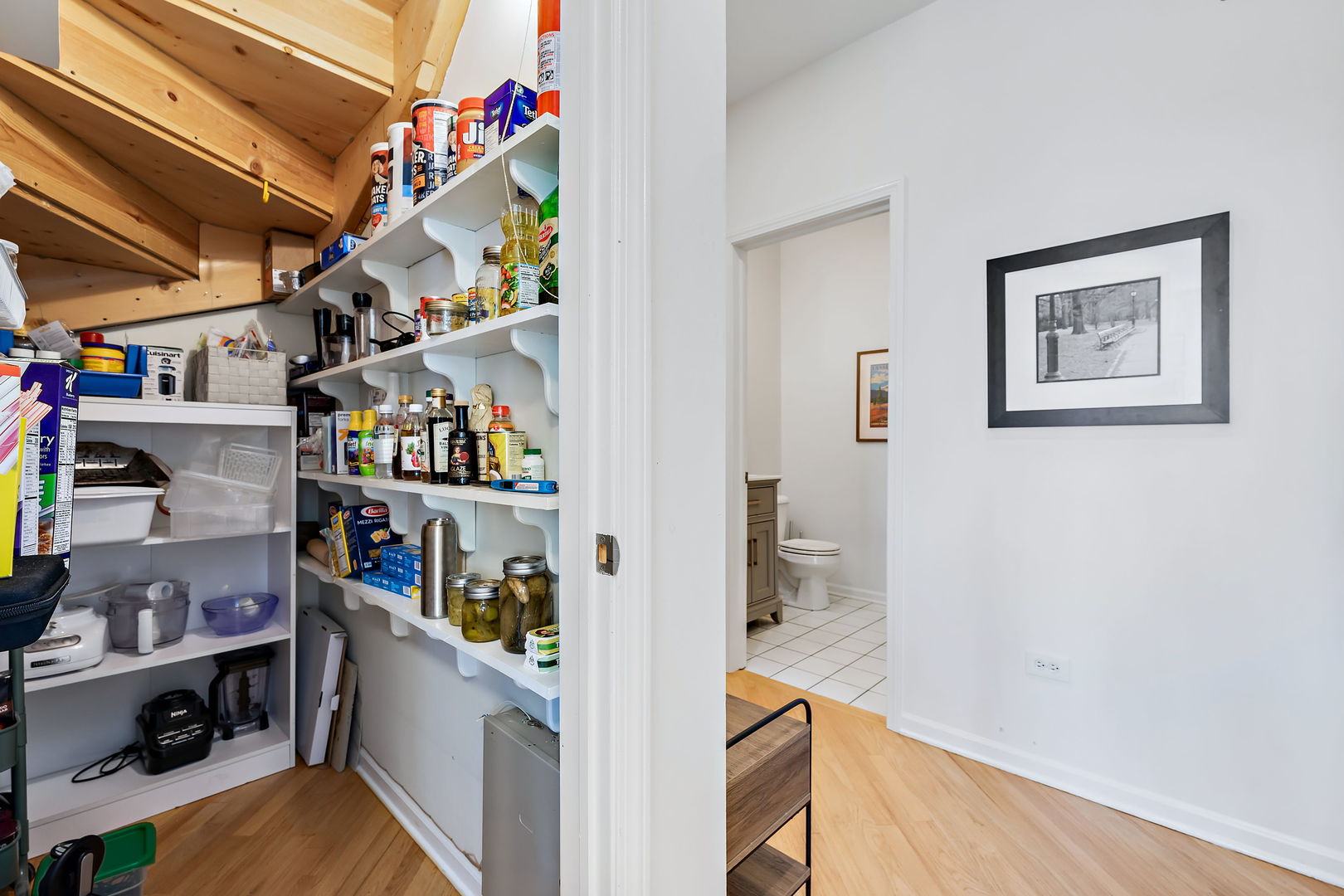 2869 West Palmer Street, Unit 5 Chicago, IL 60647 - Photo 8 of 22