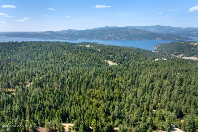 $499,000 | Nka South Dunlap Road, Harrison, ID 83833