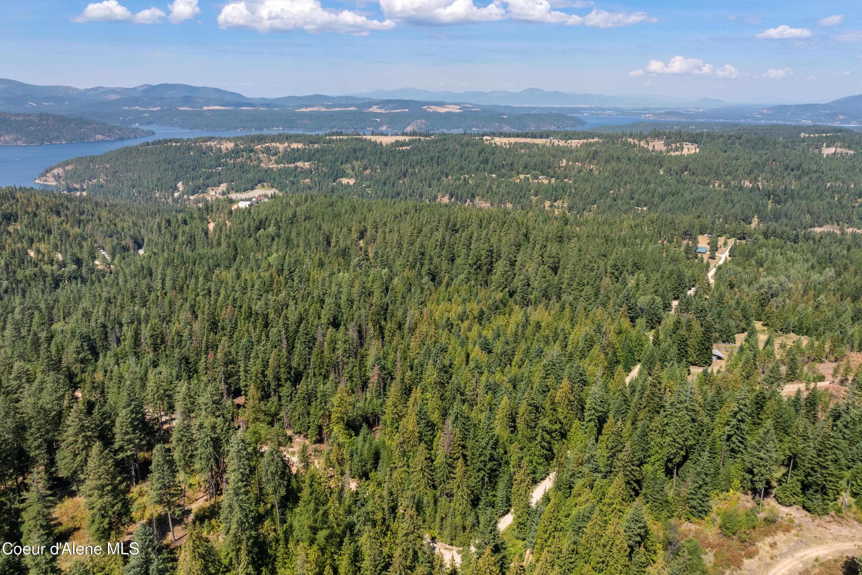 Nka South Dunlap Road Harrison, ID 83833 - Photo 6 of 9 Aerial_20AcresParcel2-2