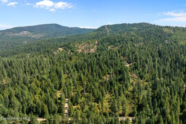 $499,000 | Nka South Dunlap Road, Harrison, ID 83833