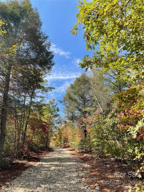 V/l West Payne Road, Unit 2A Marion, NC 28752 - Photo 11 of 13 Gallery Image 11